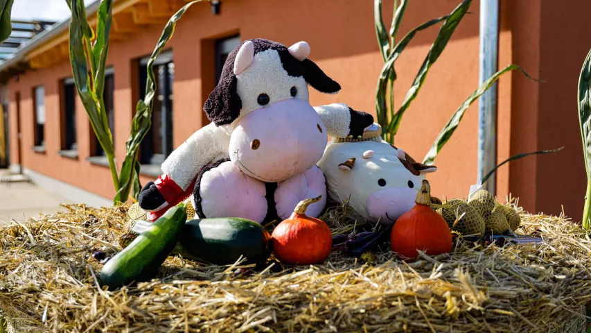 Erntedankfest Kuhhorst 2025 - Deko-Kühe auf Strohballen