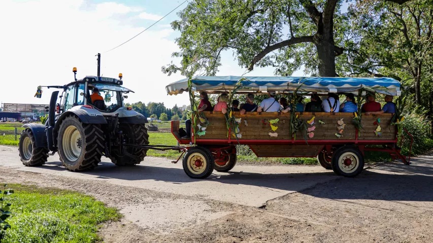 Erntedankfest Kuhhorst 2025 - voller Kremser auf der Fahrt zum Rinderstall