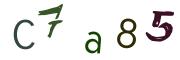 Bild-CAPTCHA