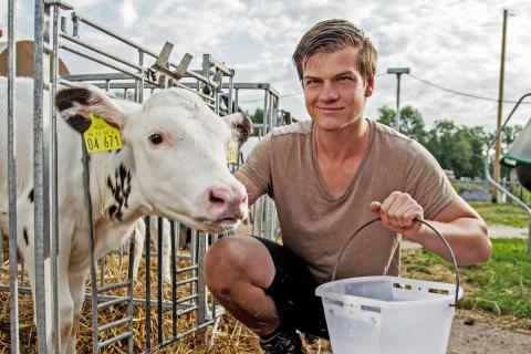 Ein Mitarbeiter des Ökohof füttert die Kälber