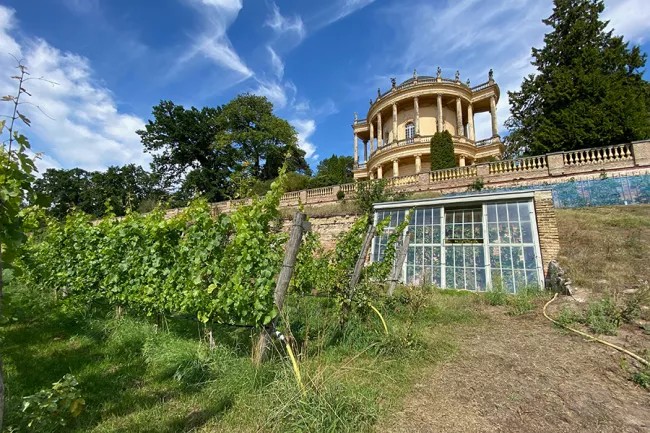 Blick auf das Belvedere über dem Königlichen Weinberg
