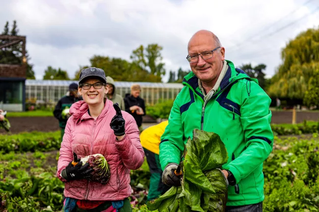 Schichtwechsel 2026 bei Mosaik-Berlin; hier im Gärtnerhof Charlottenburg Schichtwechsler und Beschäftigte bei der Salaternte auf dem Feld