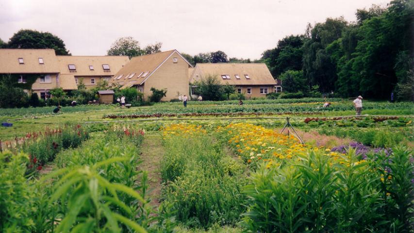 1995 - Außenanlage der Gärtnerei Heiligensee - seit 2014 ist die Gärtnerei in Charlottenburg