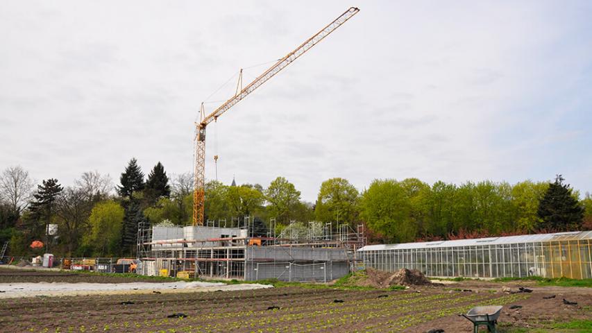 2013 - Kran bei Bauarbeiten am Gebäude der zukünftigen Betriebsstätte Gärtnerhof Charlottenburg