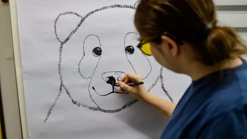 Kunstprojekt Tiere Mitte Interview Nikola Palacz