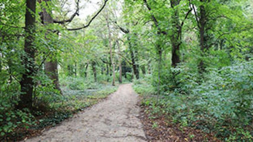 Wege im Gutspark