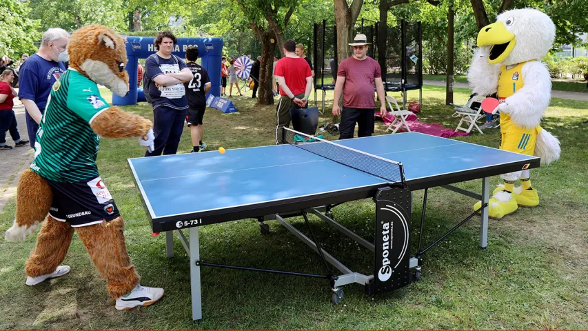 Fuchsi gegen Albatros