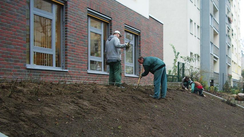 Pflanzarbeiten der Mosaik Garten- und Landschaftspflege an einem Hang