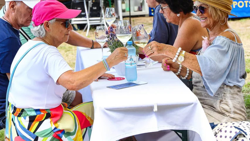Prost - Gut behütete Gäste auf dem 14. Königlichn Weinfest in Potsdam beim gemeinsamen Anstoßen