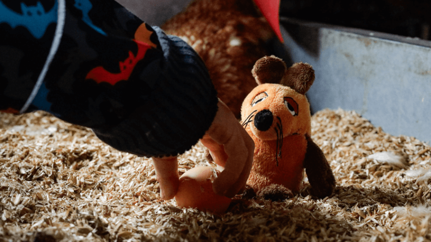 Türen auf mit der Maus-Tag 2024 auf dem Ökohof Kuhhorst - Eier sammeln aus dem Hühnermobil