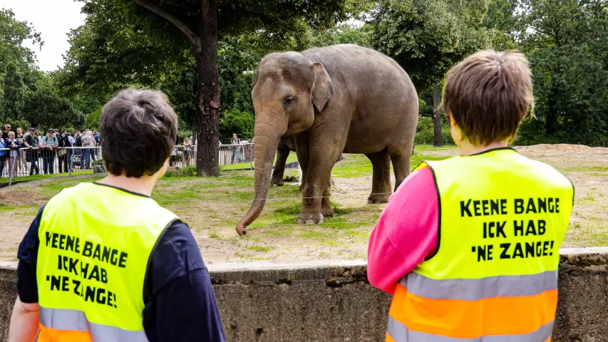 Mosaik-Kiezhilfe: BFB-Teilnehmende helfen beim Saubermachen im Berliner Zoo