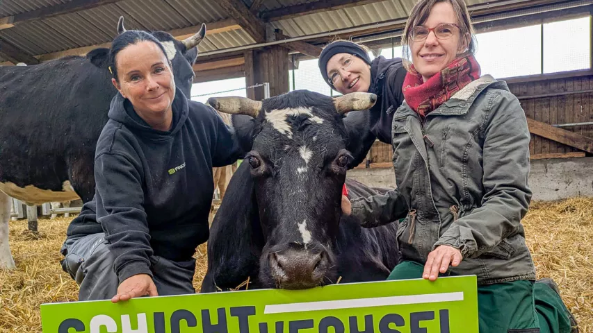 Schichtwechsel in Kuhhorst - Kühe streicheln inklusive