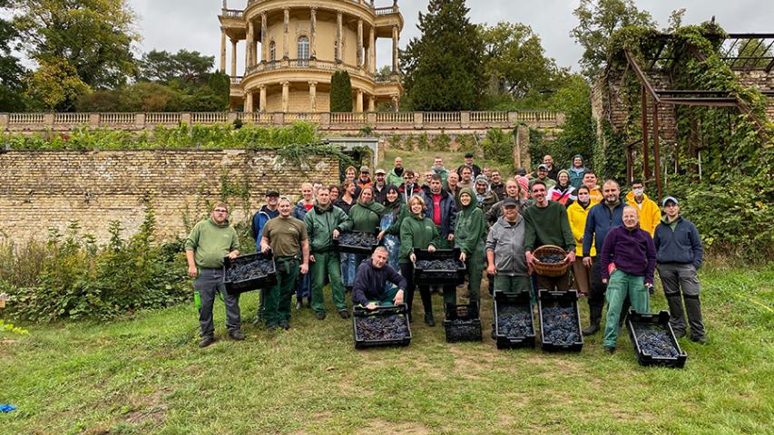 Gruppenbild der Weinlese 2020 auf dem Königlichen Weinberg